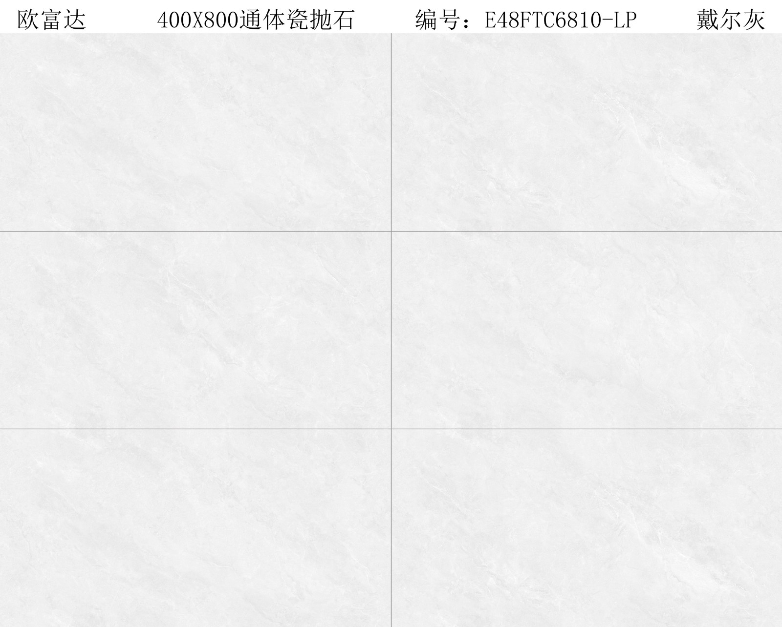E48FTC6810-LP 戴尔灰