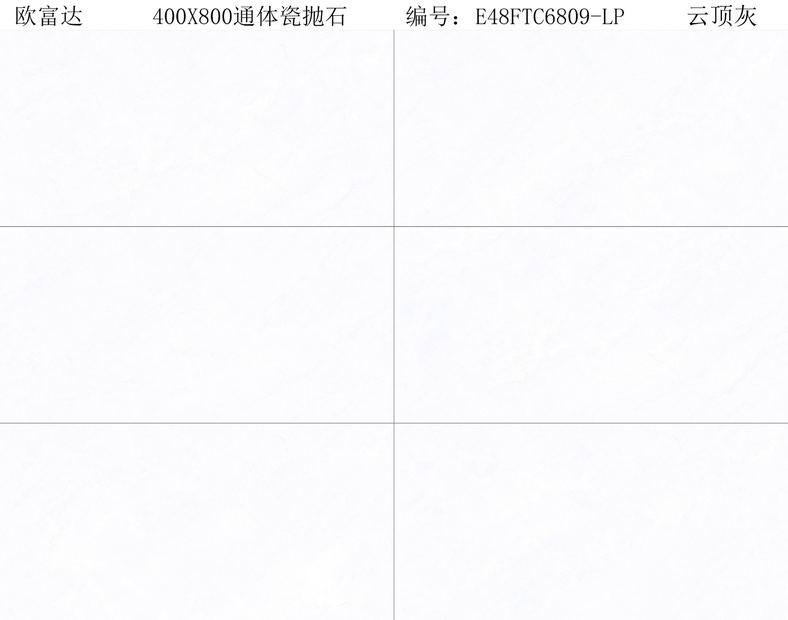 E48FTC6809-LP 云顶灰